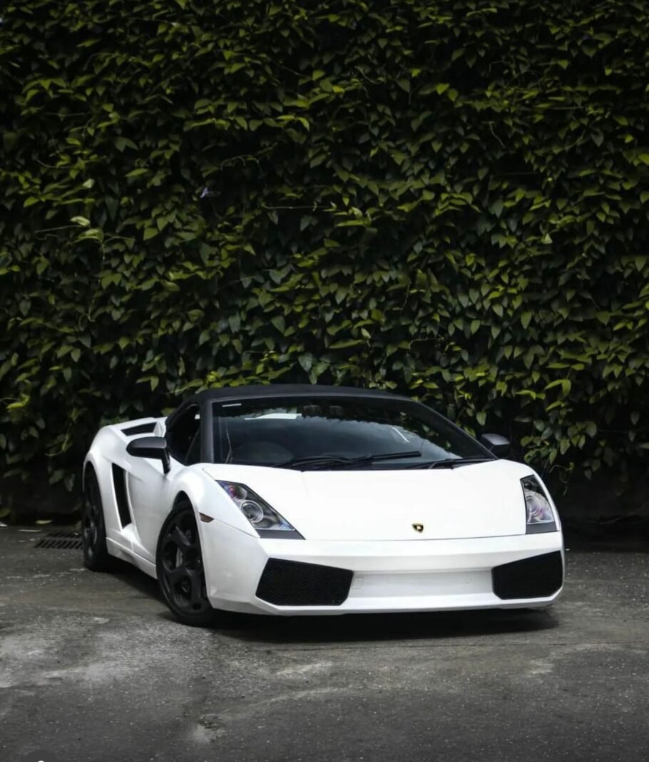 Lamborghini Gallardo, photo 2 of 20