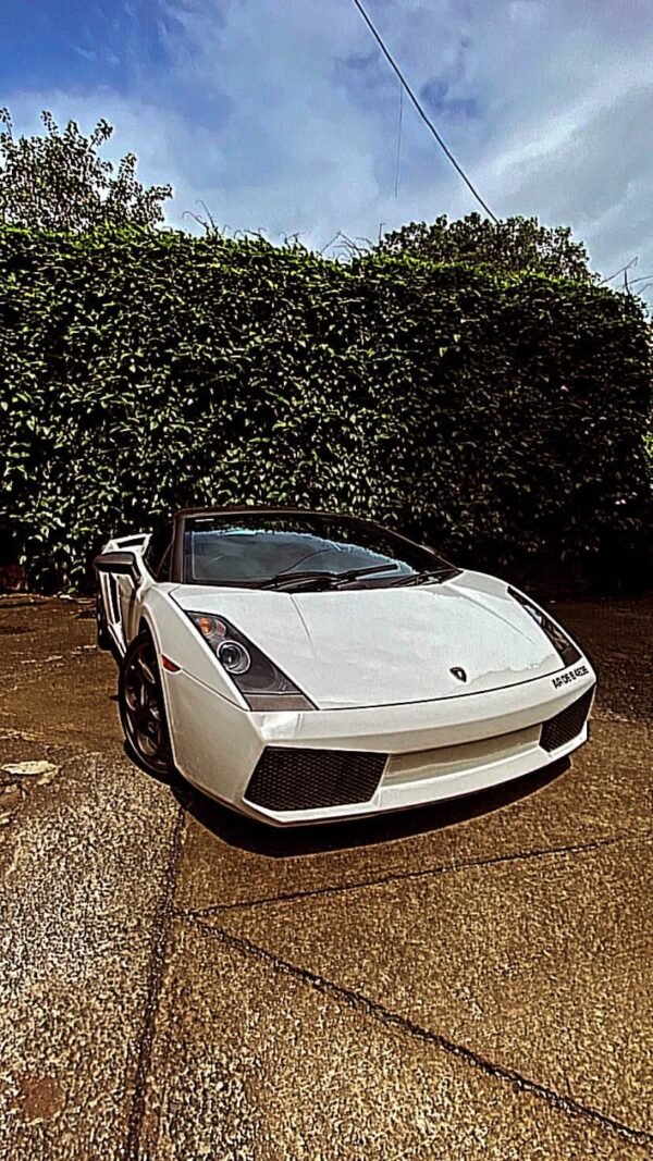 Lamborghini Gallardo, photo 7 of 20