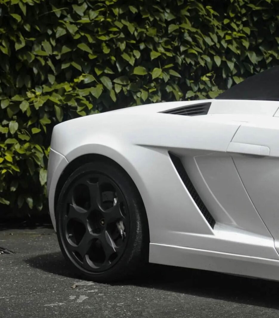 Lamborghini Gallardo, photo 19 of 20